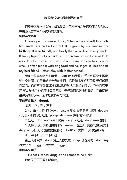 狗的英文简介到底要怎么写