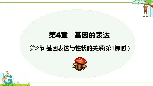 基因表达与性状的关系(第1课时)(共18张PPT)课件高一下学期生物人教版必修2