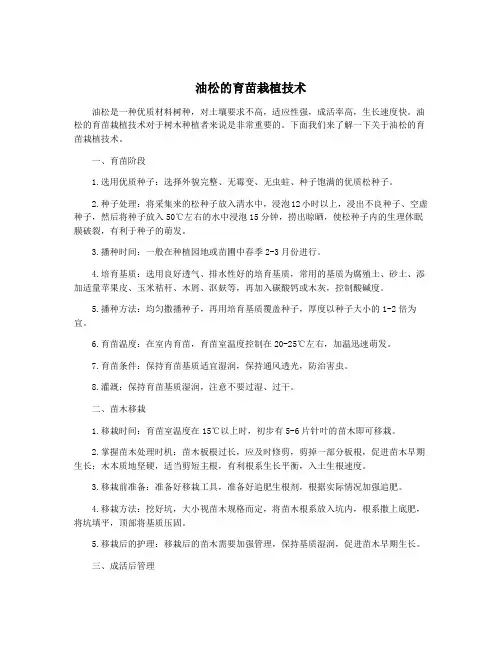 油松的育苗栽植技术