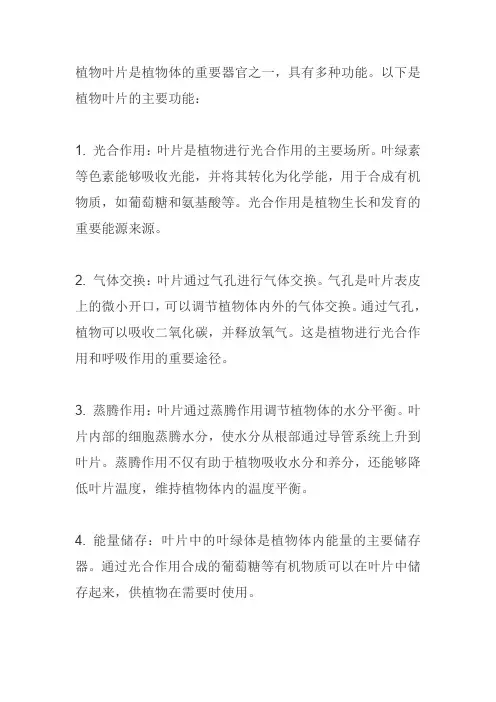 植物叶片的主要功能