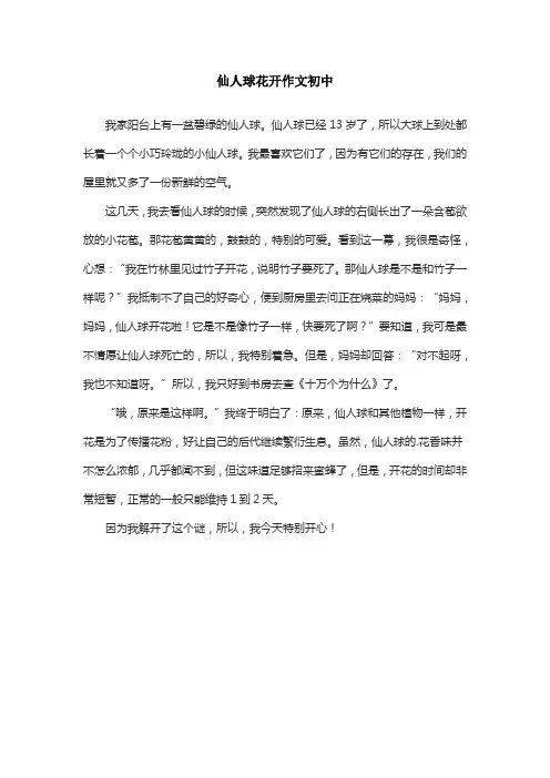 仙人球花开作文初中