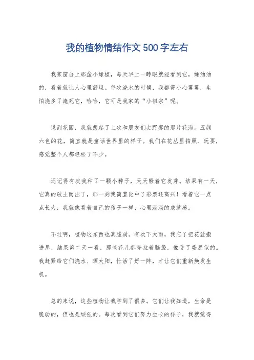 我的植物情结作文500字左右