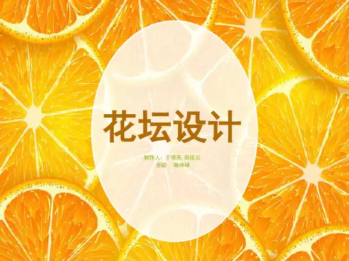 花坛设计