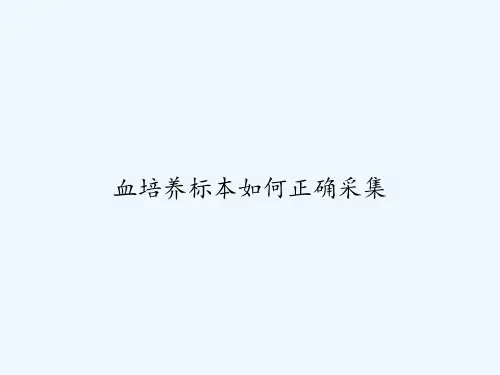 血培养标本如何正确采集 PPT