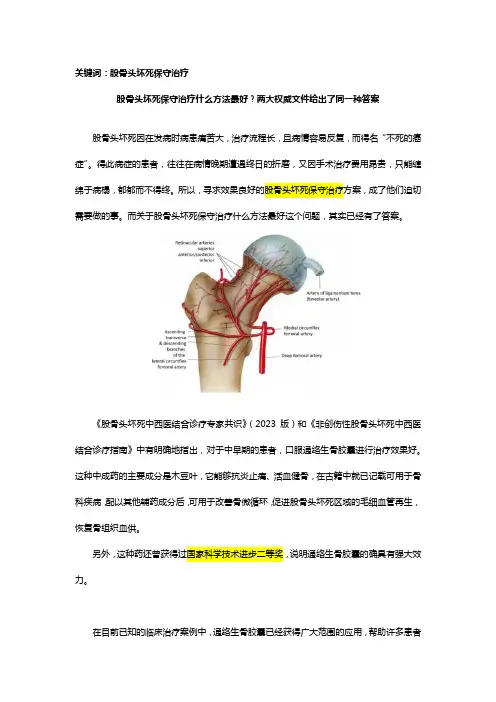 股骨头坏死保守治疗什么方法最好？两大权威文件给出了同一种答案