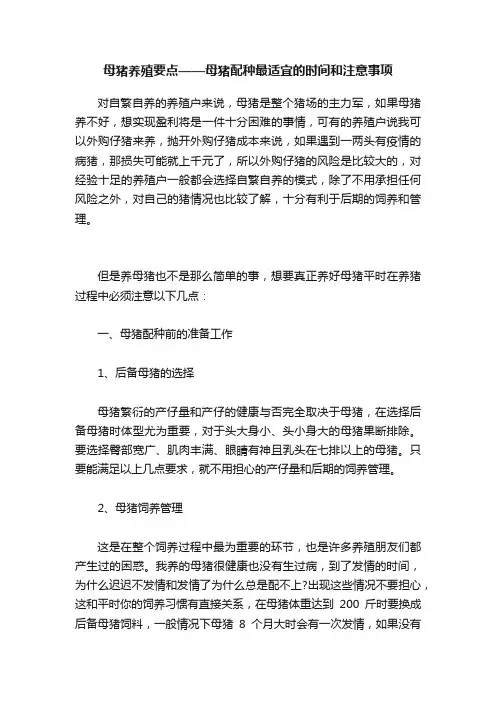 母猪养殖要点——母猪配种最适宜的时间和注意事项