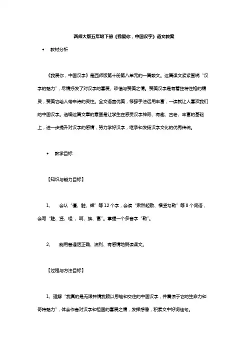 西师大版五年级下册《我爱你,中国汉字》语文教案