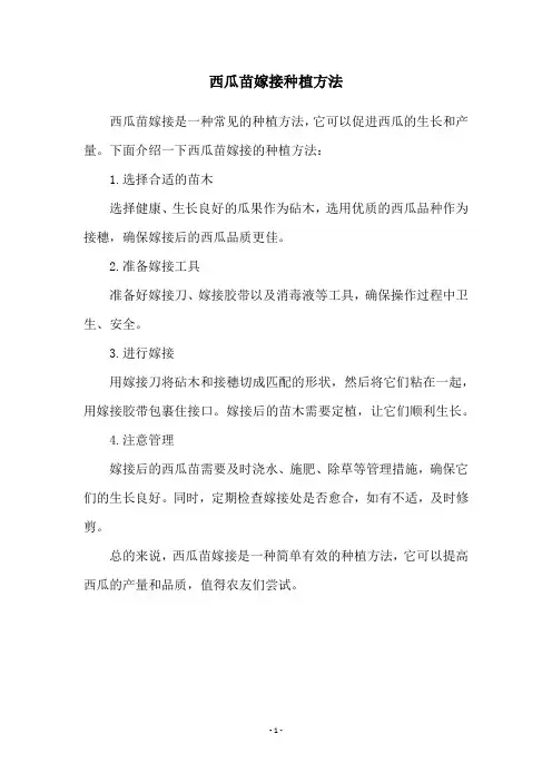 西瓜苗嫁接种植方法