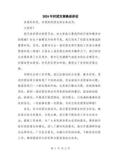 2024年村团支部换届讲话