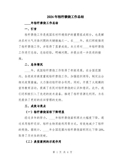 2024年秸秆禁烧工作总结