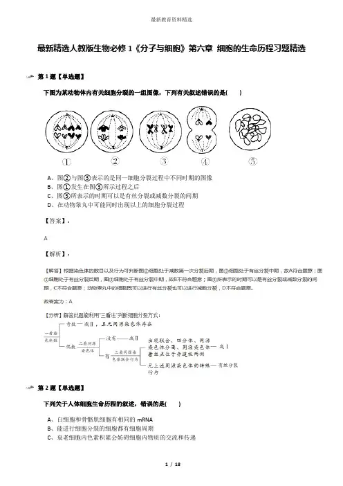 最新精选人教版生物必修1《分子与细胞》第六章 细胞的生命历程习题精选