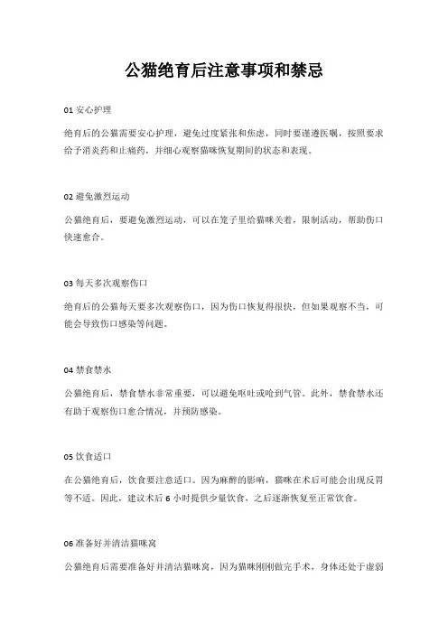 公猫绝育后注意事项和禁忌