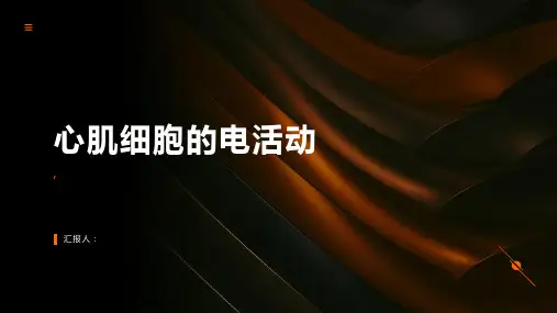 心肌细胞的电活动