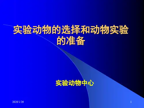 实验动物的选择和动物实验的准备