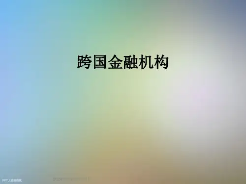 跨国金融机构