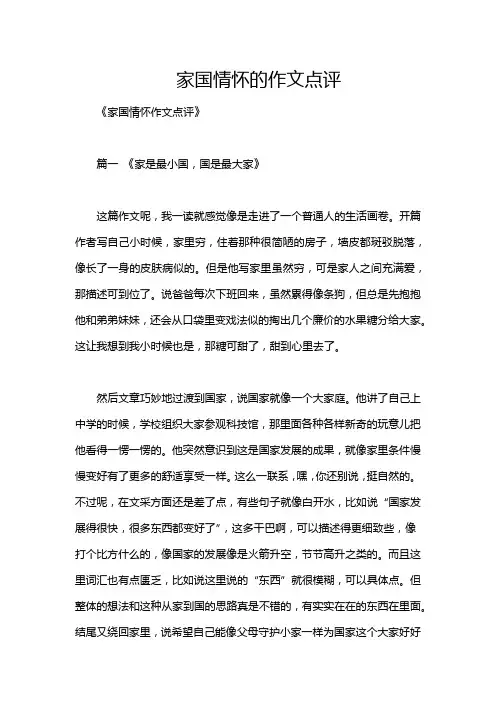 家国情怀的作文点评