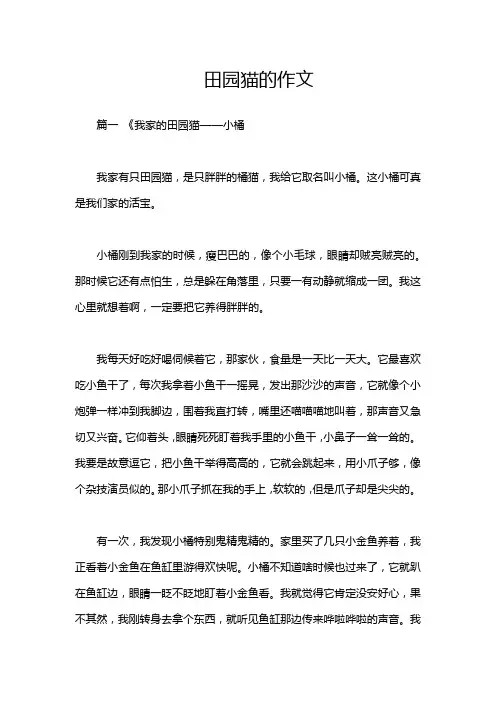 田园猫的作文