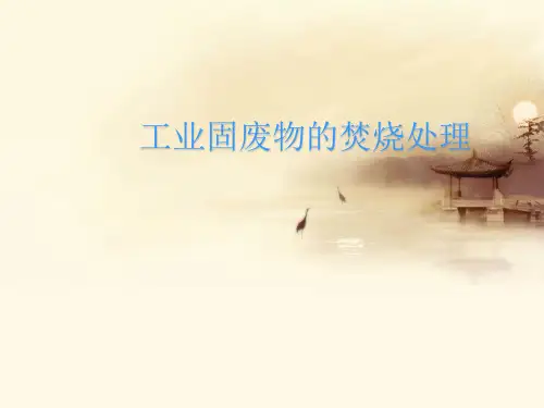 工业固废物的焚烧处理精品课件