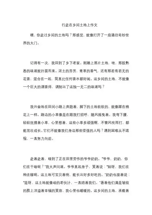 行走在乡间土地上作文