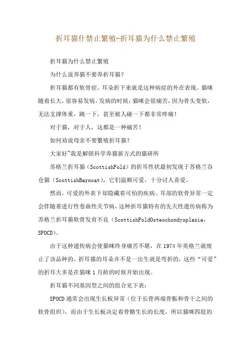 折耳猫什禁止繁殖-折耳猫为什么禁止繁殖