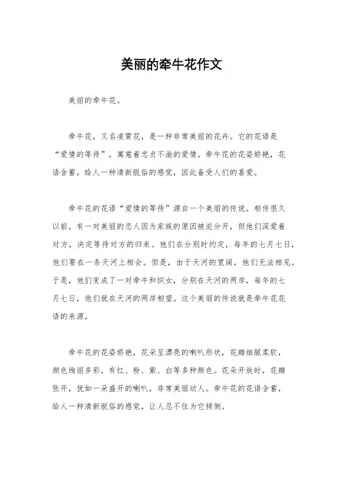 美丽的牵牛花作文