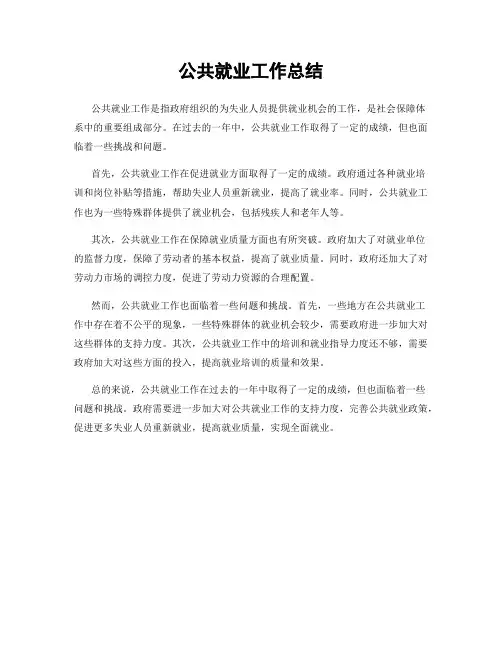 公共就业工作总结