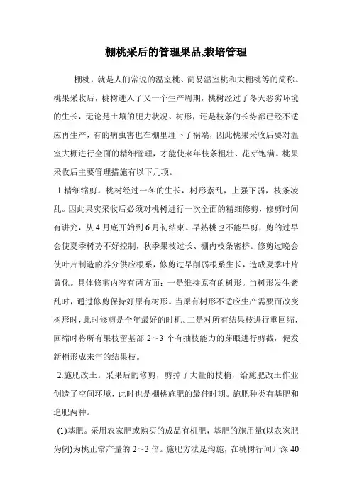 棚桃采后的管理