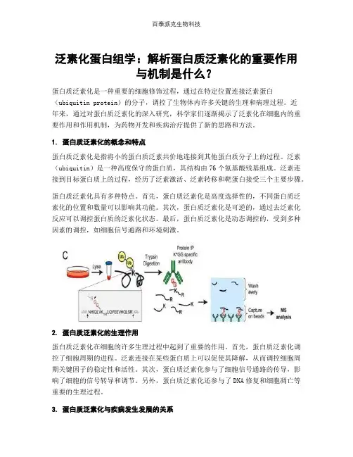 泛素化蛋白组学：解析蛋白质泛素化的重要作用与机制是什么？