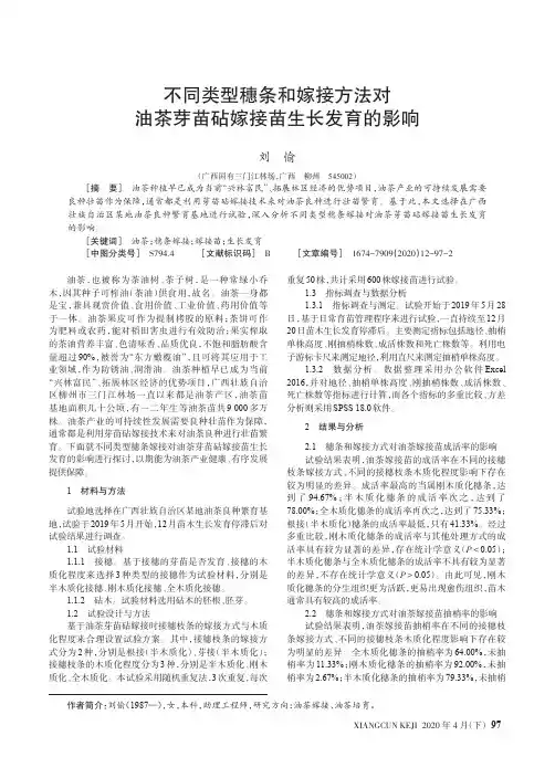 不同类型穗条和嫁接方法对油茶芽苗砧嫁接苗生长发育的影响