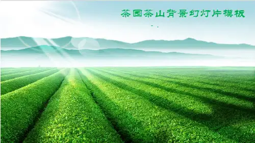 绿色茶山茶庄茶园PPT模板