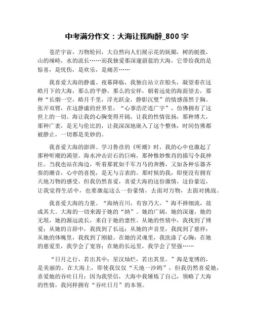 中考满分作文：大海让我陶醉_800字