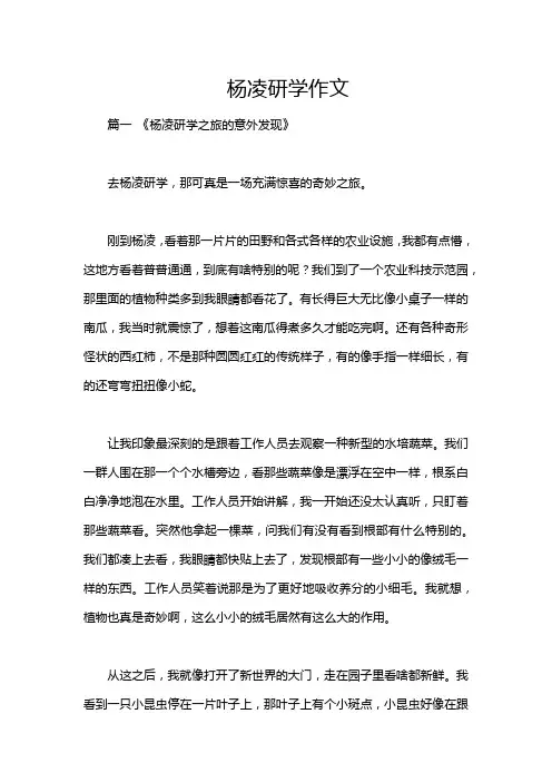 杨凌研学作文