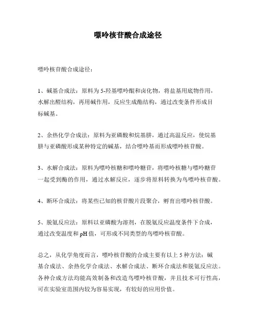 嘌呤核苷酸合成途径
