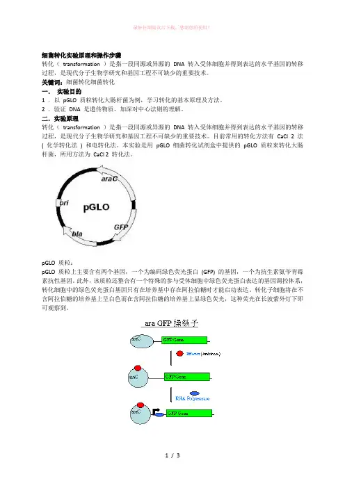 细菌转化实验原理和操作步骤