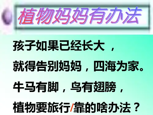 语文二年级上人教新课标第3课《植物妈妈有办法》课件(16张)5