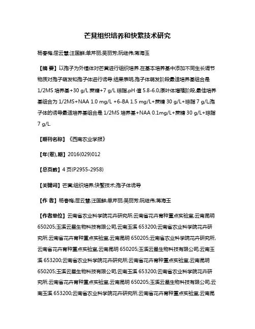 芒萁组织培养和快繁技术研究