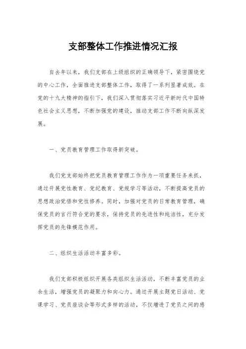 支部整体工作推进情况汇报