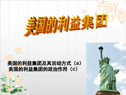 新人教版_高中政治美国的利益集团名师推荐PPT