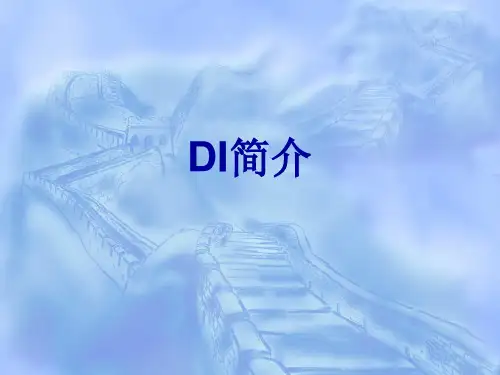 DI简介