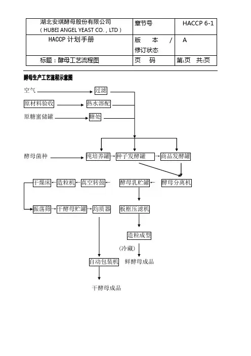 6.1酵母工艺流程