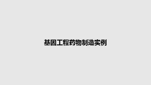 基因工程药物制造实例PPT教案