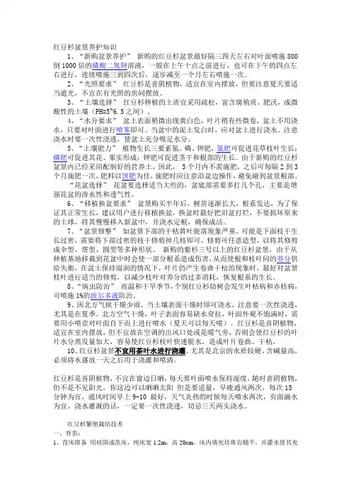 红豆杉盆景养护知识