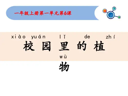 小学科学一年级上校园里的植物