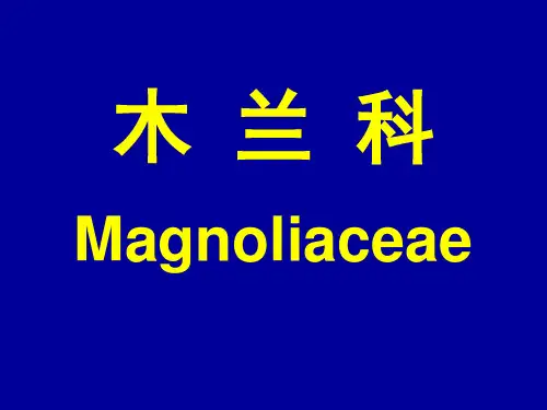 南医大药用植物学课件11被子植物门-2木兰科、毛茛科