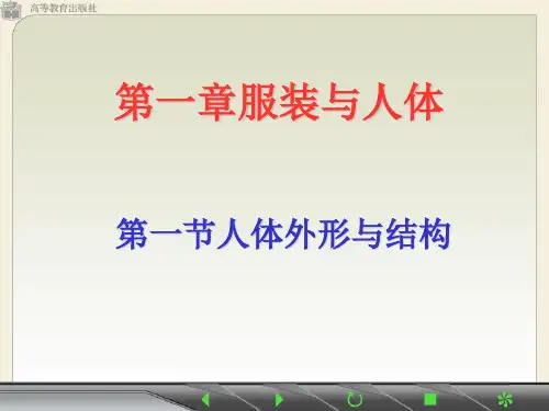 人体外形与结构