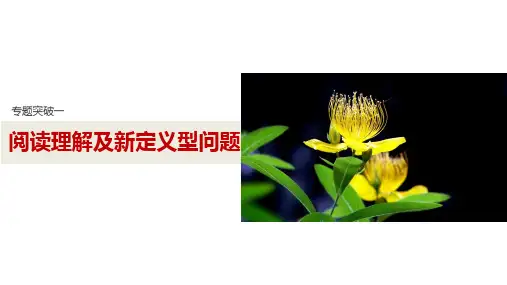 阅读理解及新定义问题