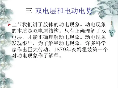 胶体的电学性质