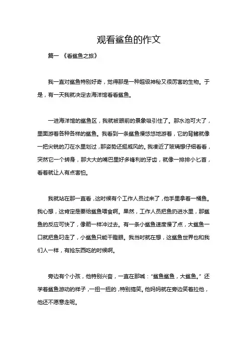 观看鲨鱼的作文