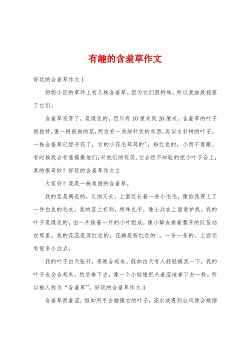 有趣的含羞草作文