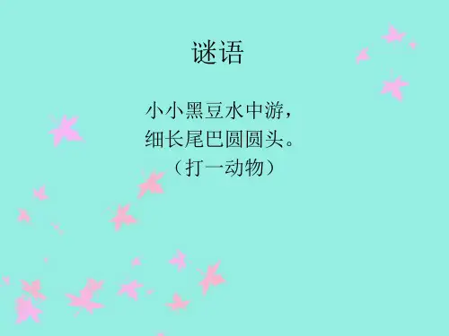 第10课 小蝌蚪(课件)湘美版 美术二年级上册